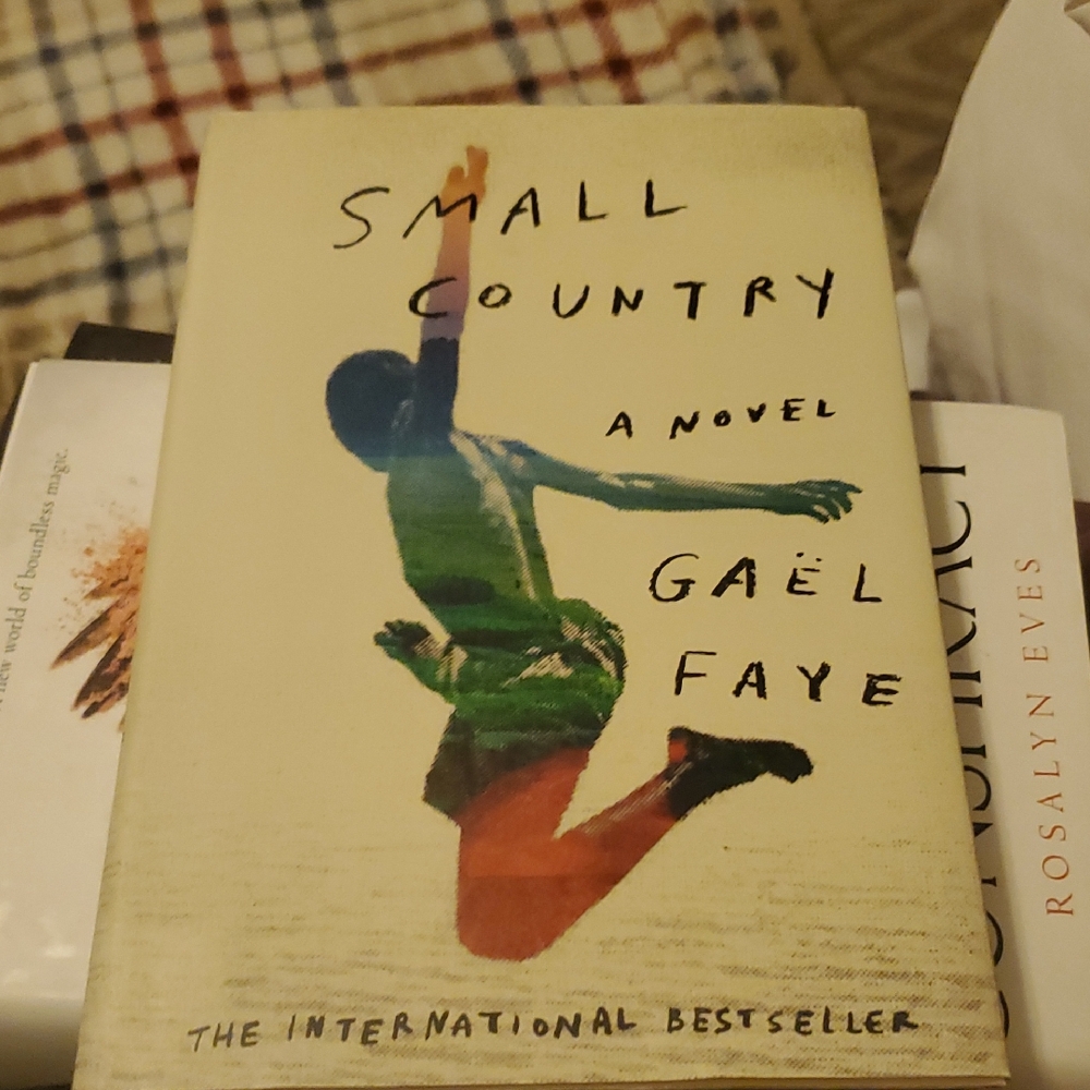 Small Country: A Novel by Gaël Faye (2018, Hardcover). Used condition.